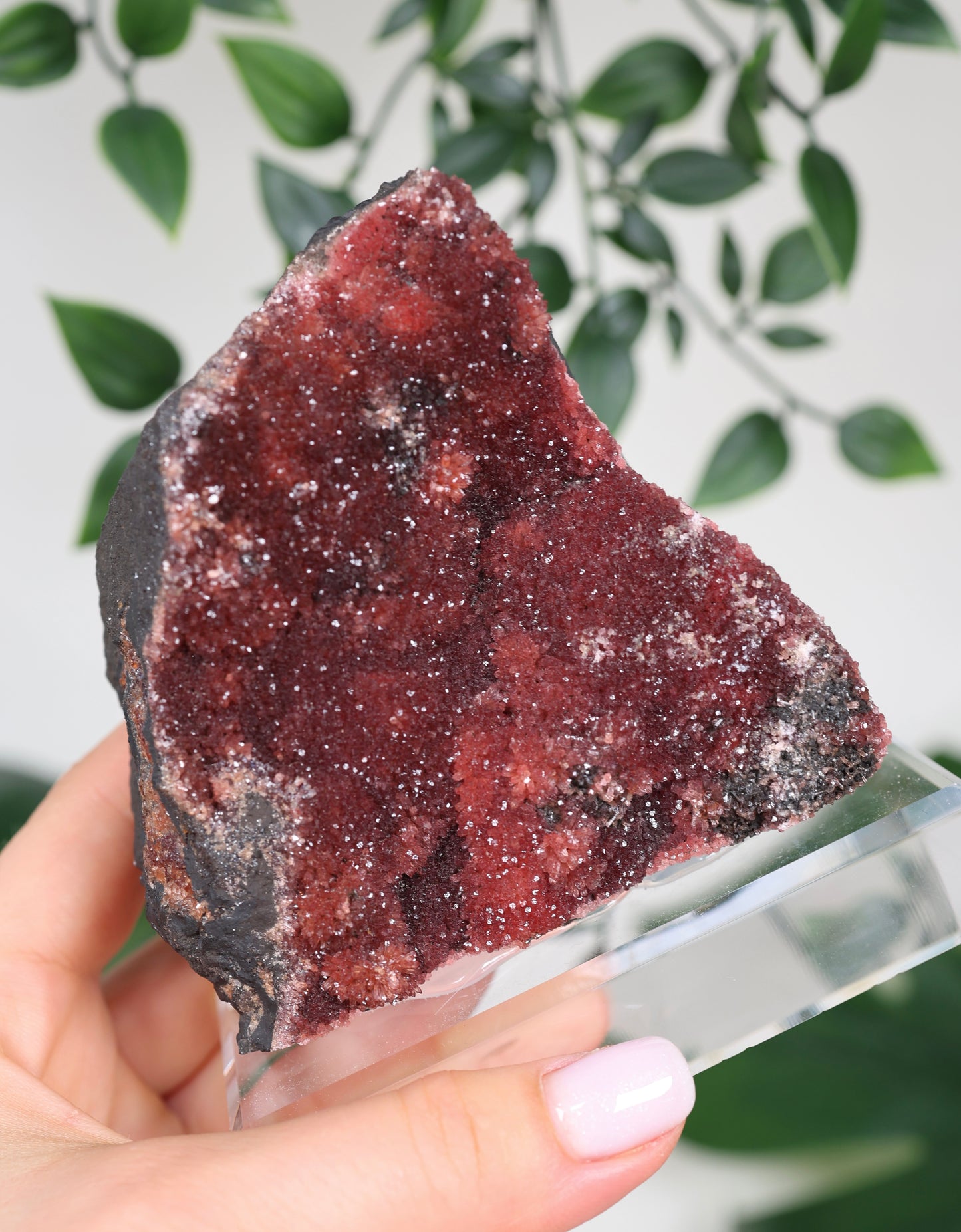 Kristallisierter Rhodochrosit Oldstock Nr.707RH