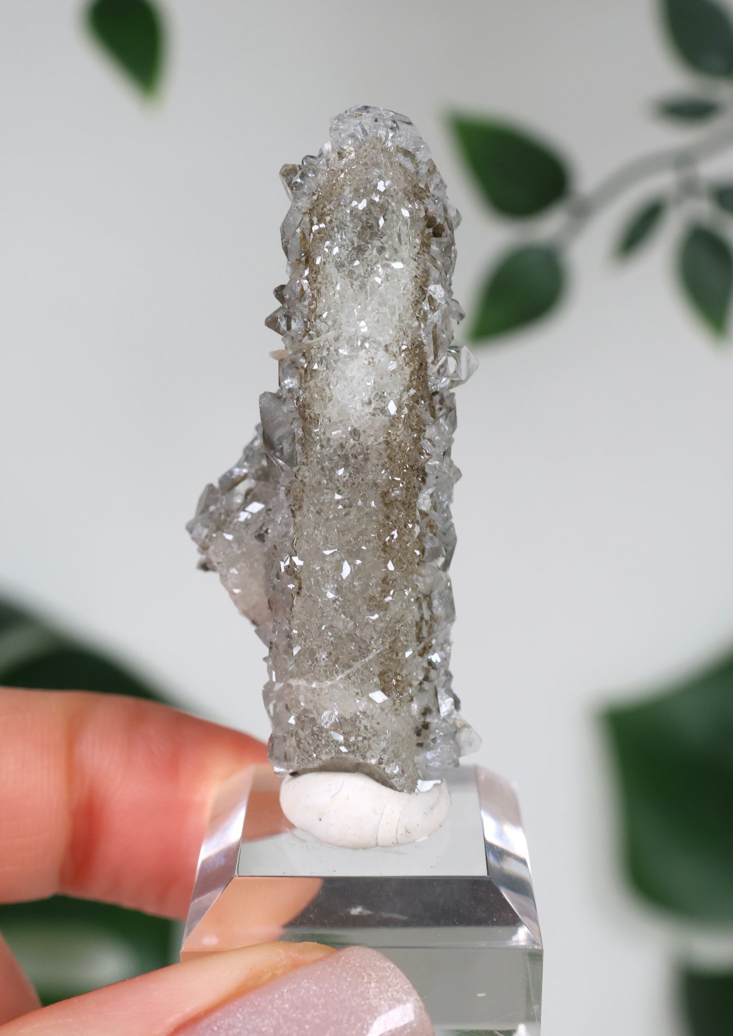 Apophyllite x Quartz x Chlorite No.66Q1