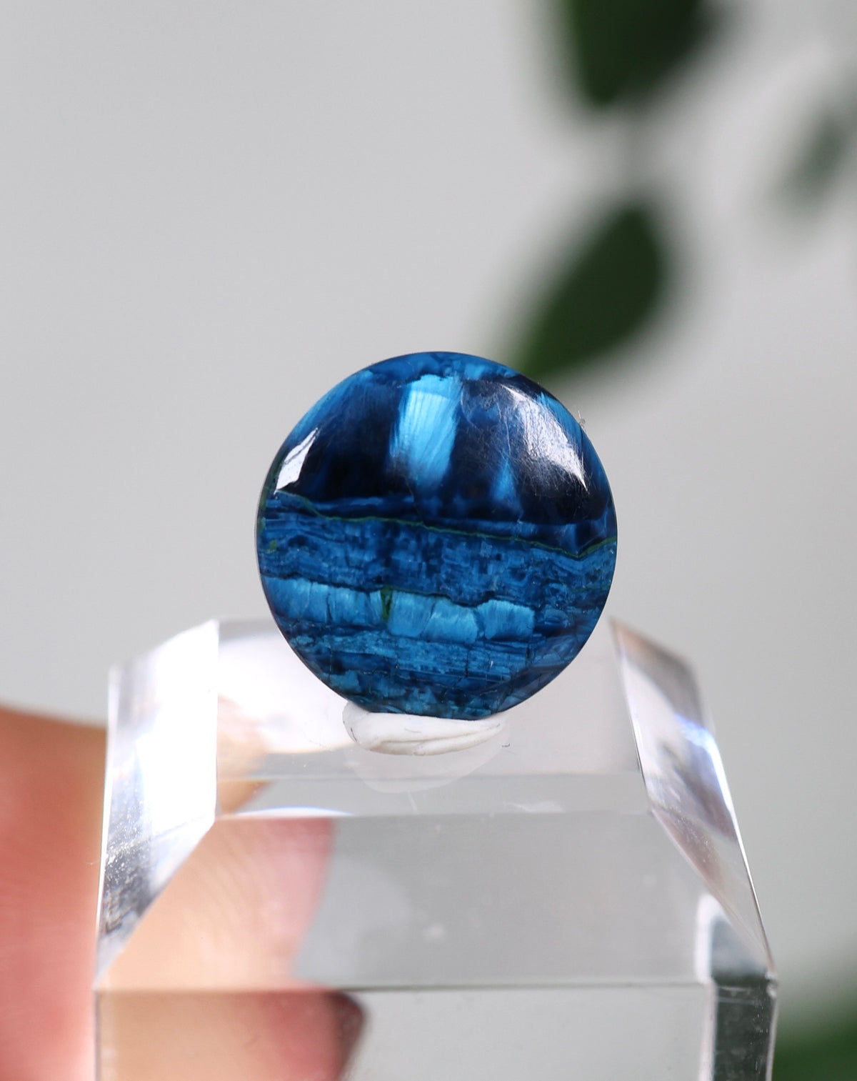 Tantara Shattuckit x Dioptas Oldstock Cabochon Nr.67ST