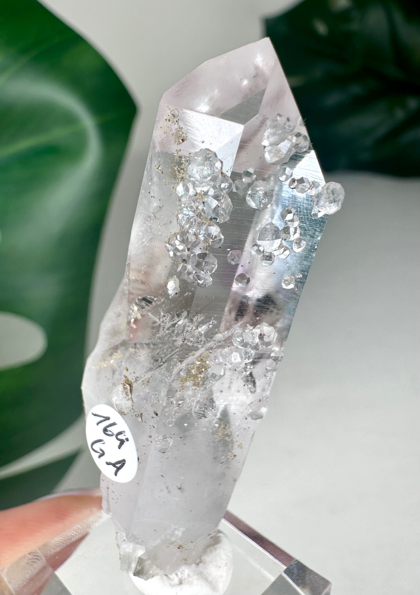 Goboboseb Quartz with Analcime No.164GA