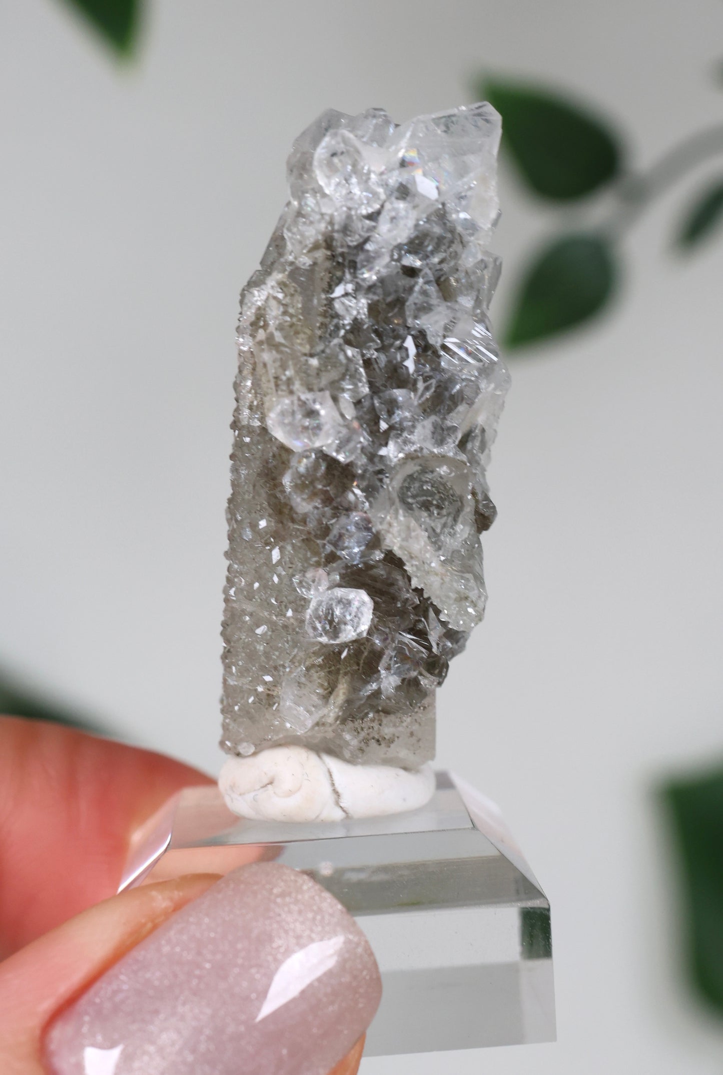Apophyllite x Quartz x Chlorite No.57Q2