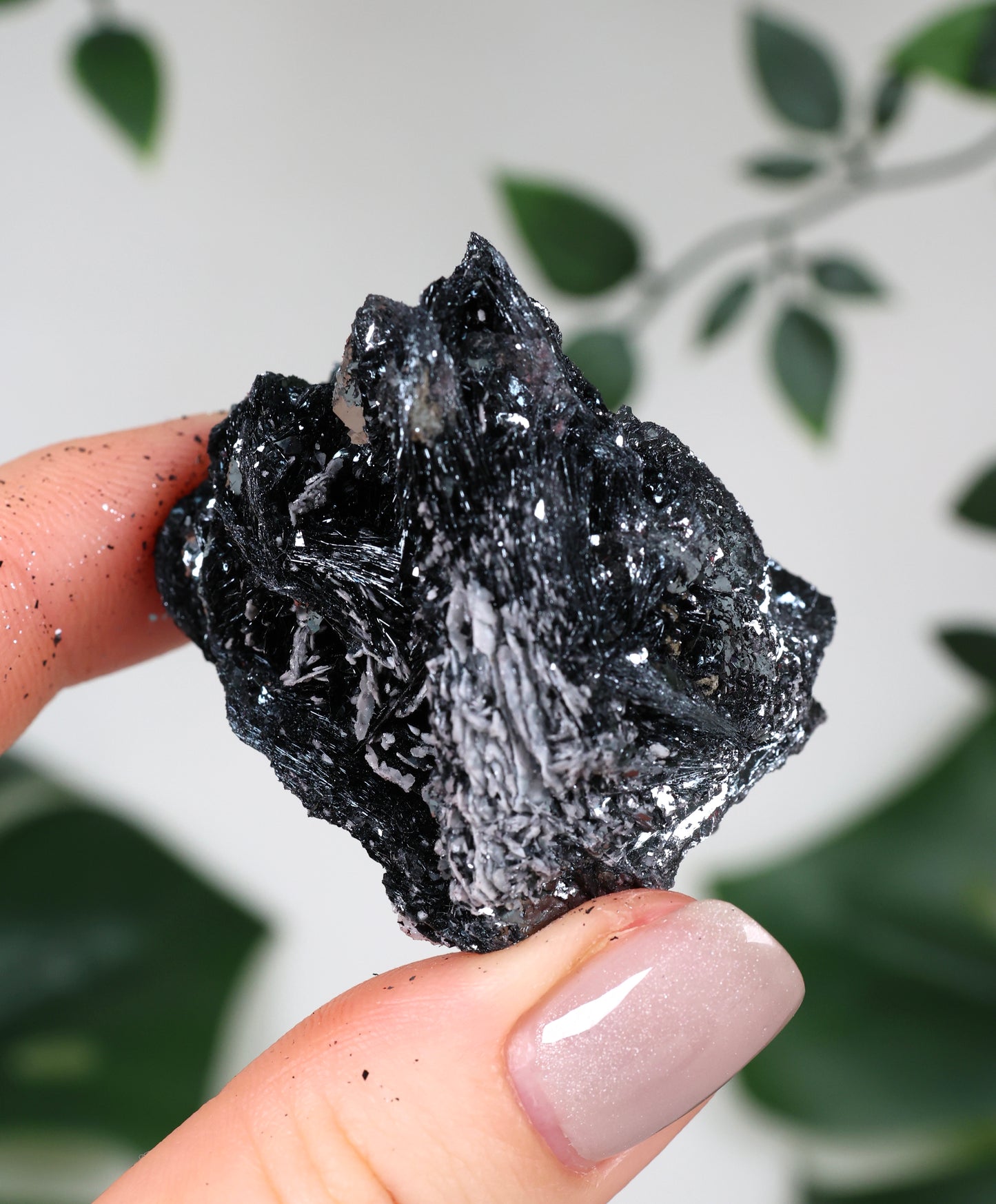 Specularite No. 86SP