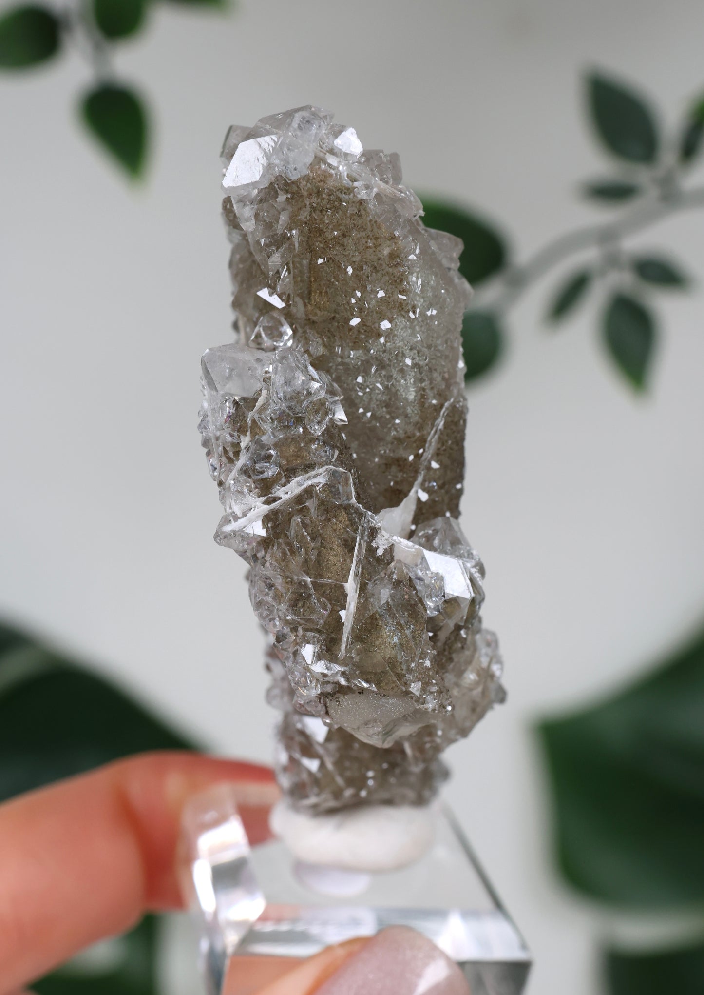 Apophyllite x Quartz x Chlorite No. 129QA
