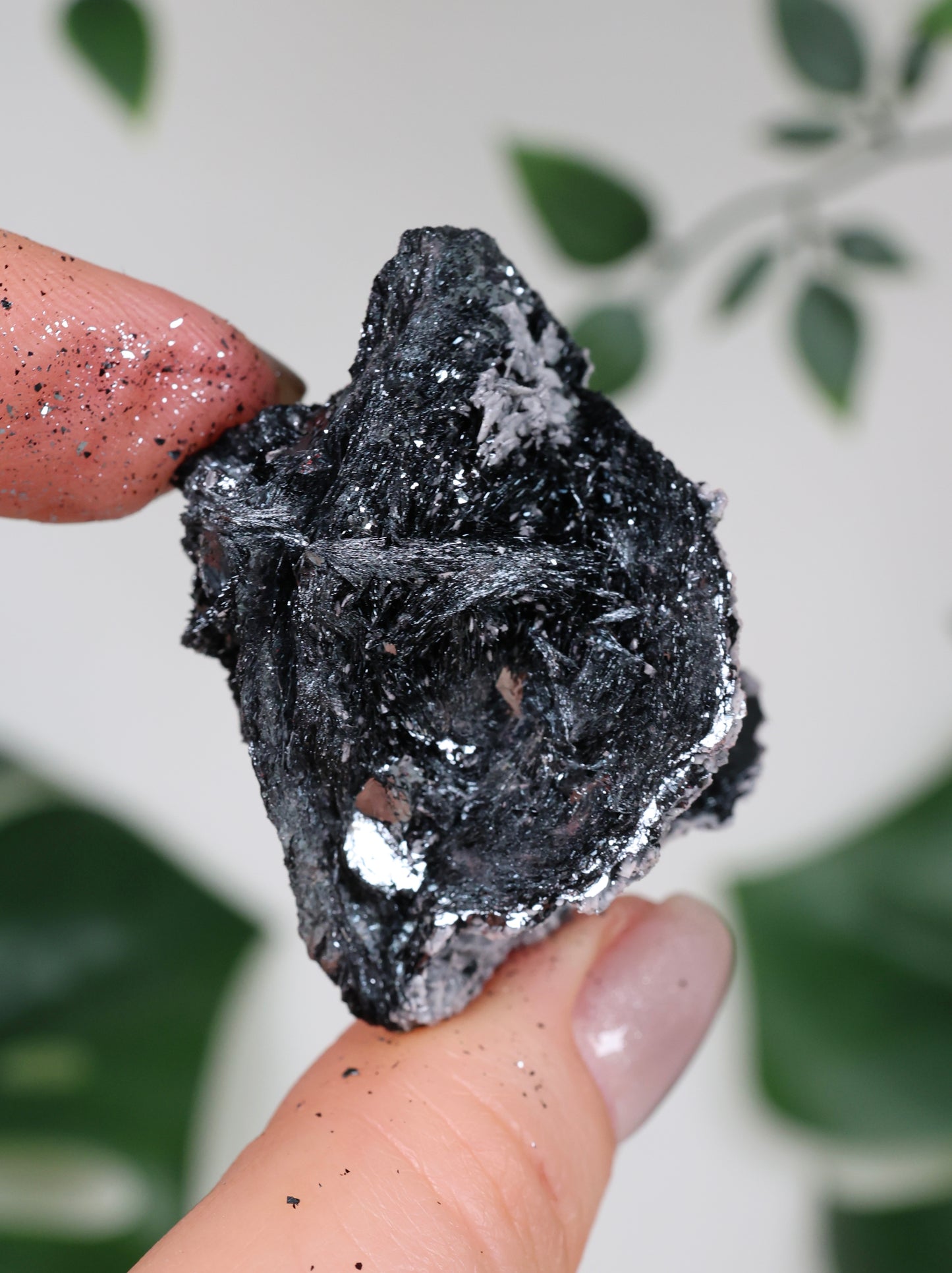 Specularite No. 76SP