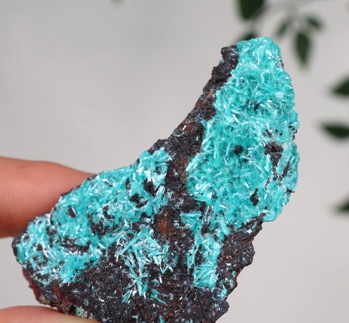 Aurichalcite No. 37AU 