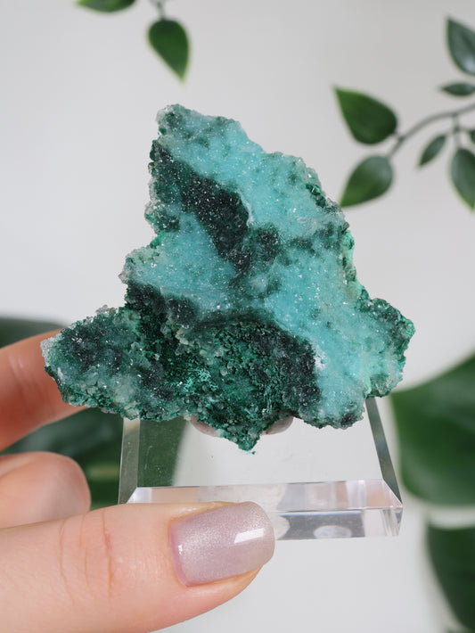 Malachite x Chrysocolla x Quartz No.128MQ