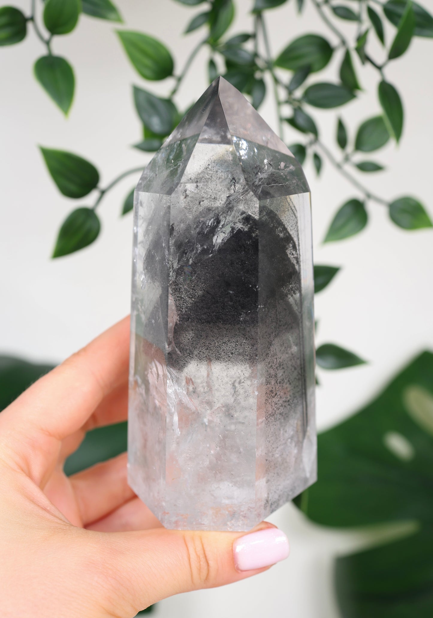 Black Phantom Lemurian Nr.555BL