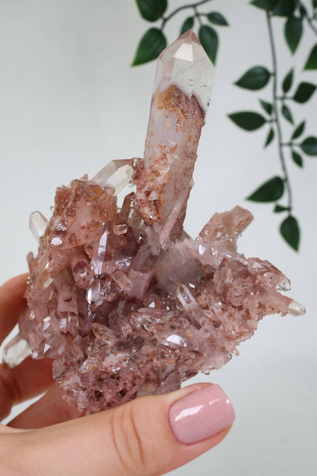 Sunset Quartz No. 500SQ