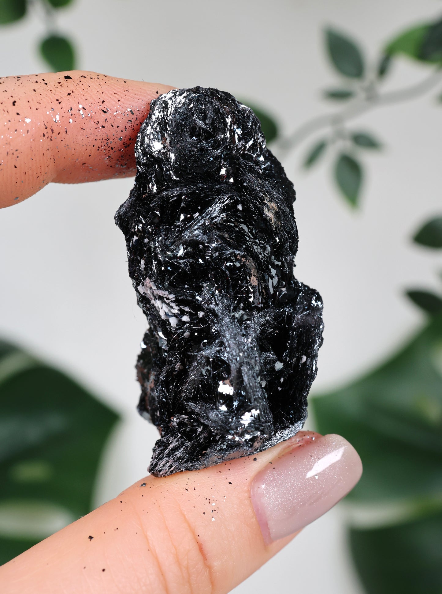 Specularite No. 80SP