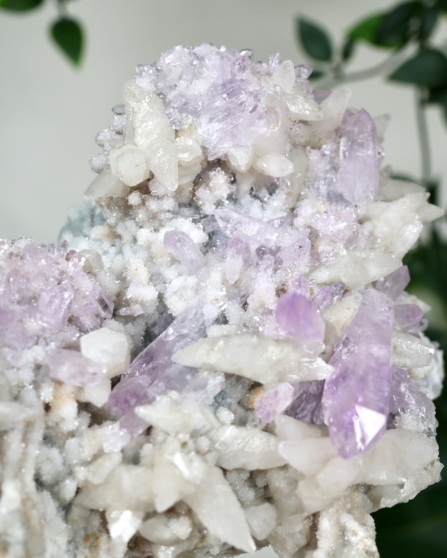 Calcite x Vera Cruz Amethyst No. 595VC