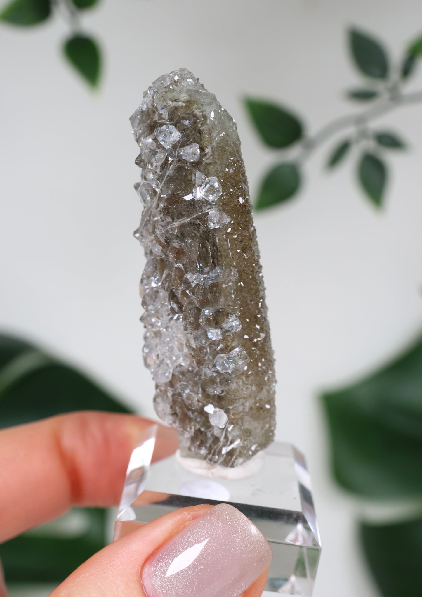 Apophyllite x Quartz x Chlorite No. 111Q3