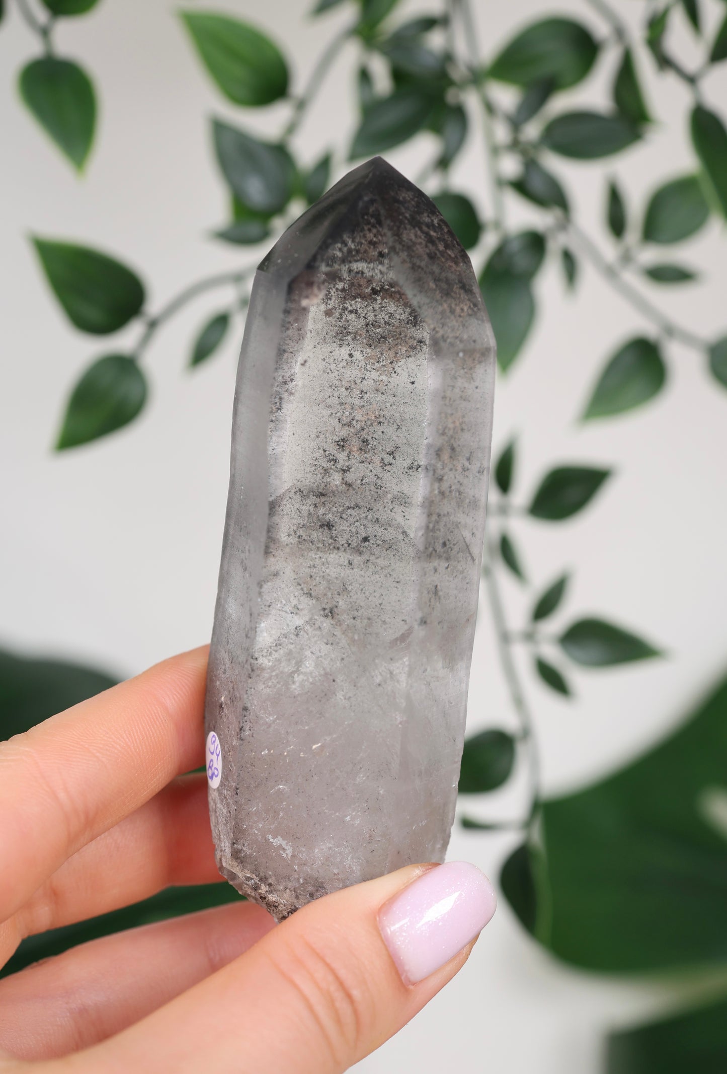 Black Phantom Lemurian Semi-Polished Nr.94BL