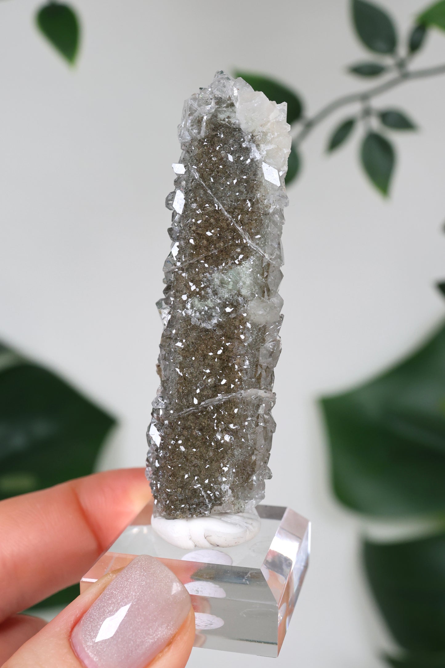 Apophyllite x Quartz x Chlorite No.110QA