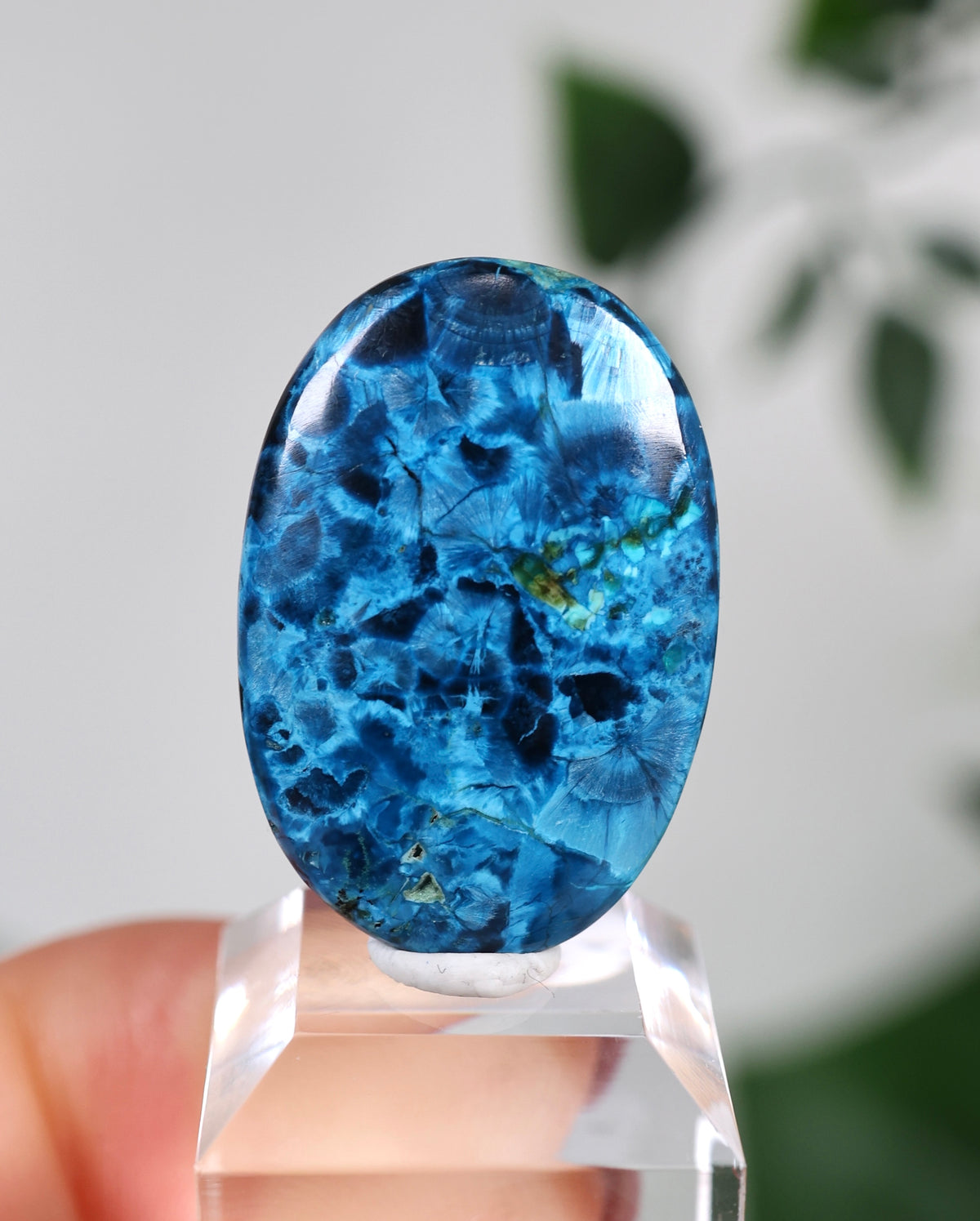 Tantara Shattuckit x Dioptas Oldstock Cabochon Nr.145ST