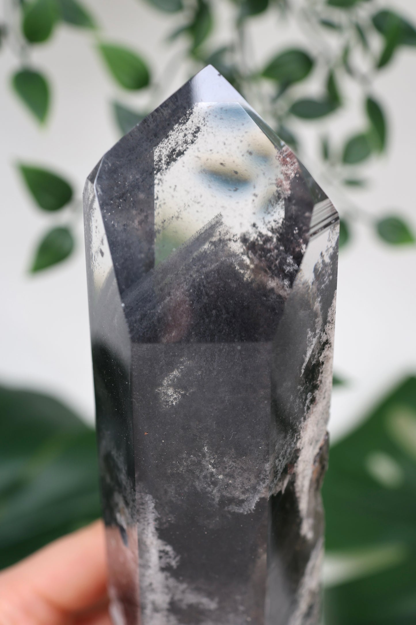 Black Phantom Lemurian Semi-Polished XL Nr.965BL