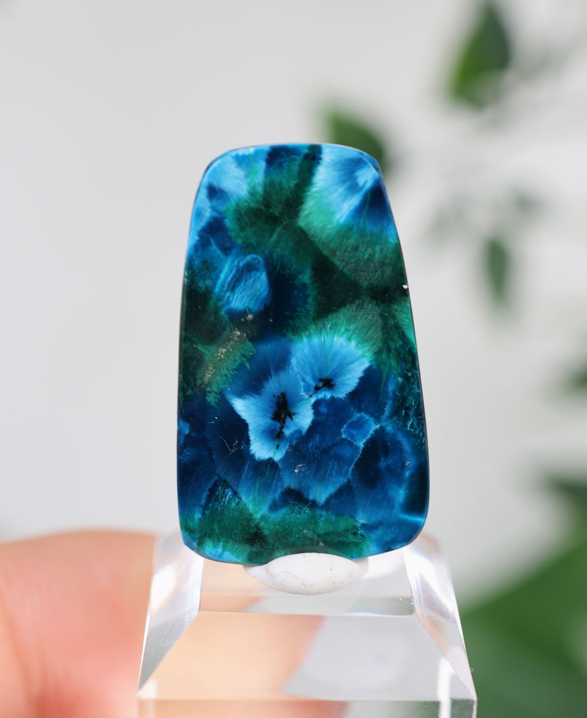 Tantara Shattuckit x Dioptas Oldstock Cabochon Nr.164SD