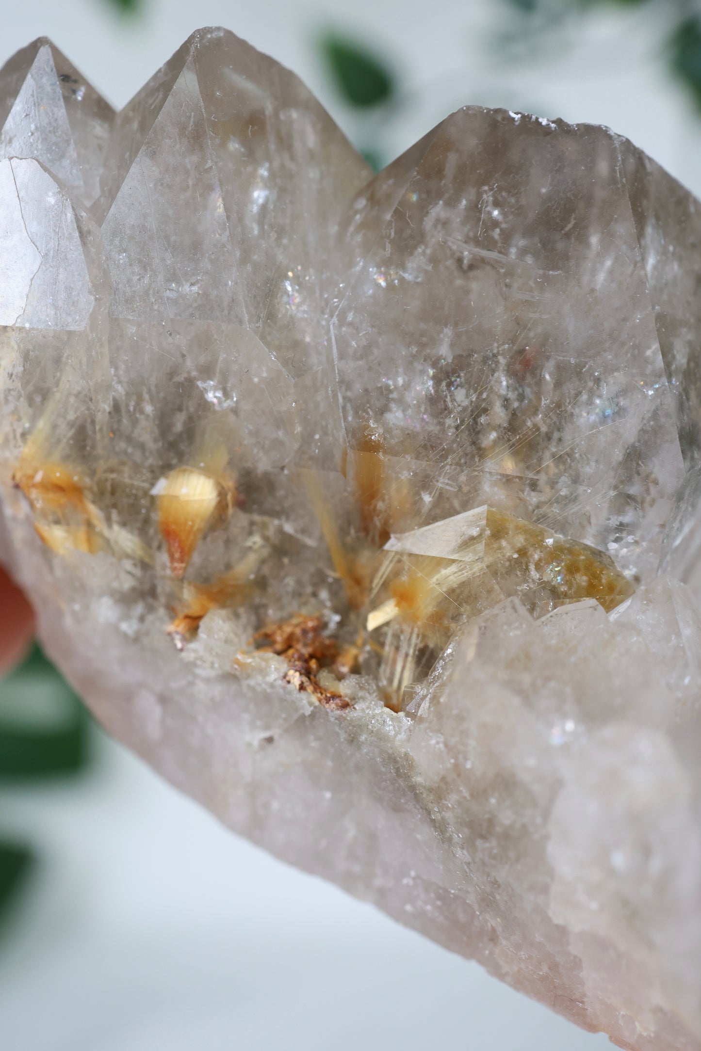 Garden Quartz x Rutilated Cluster No. 150GR