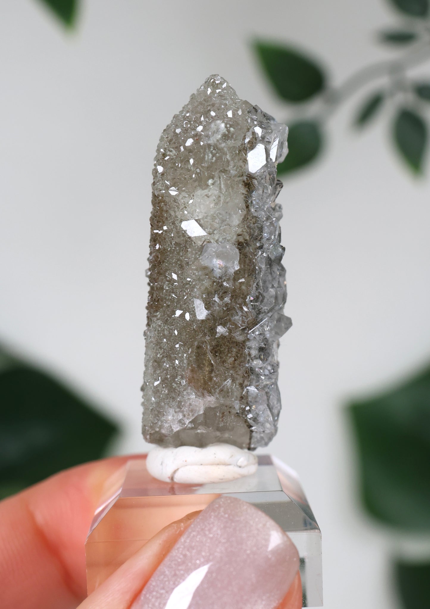 Apophyllite x Quartz x Chlorite No.62Q1