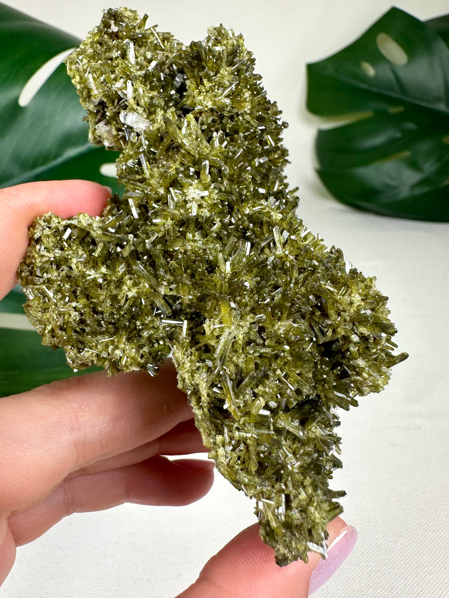 Cuartel general de Epidote n.° 510EQ