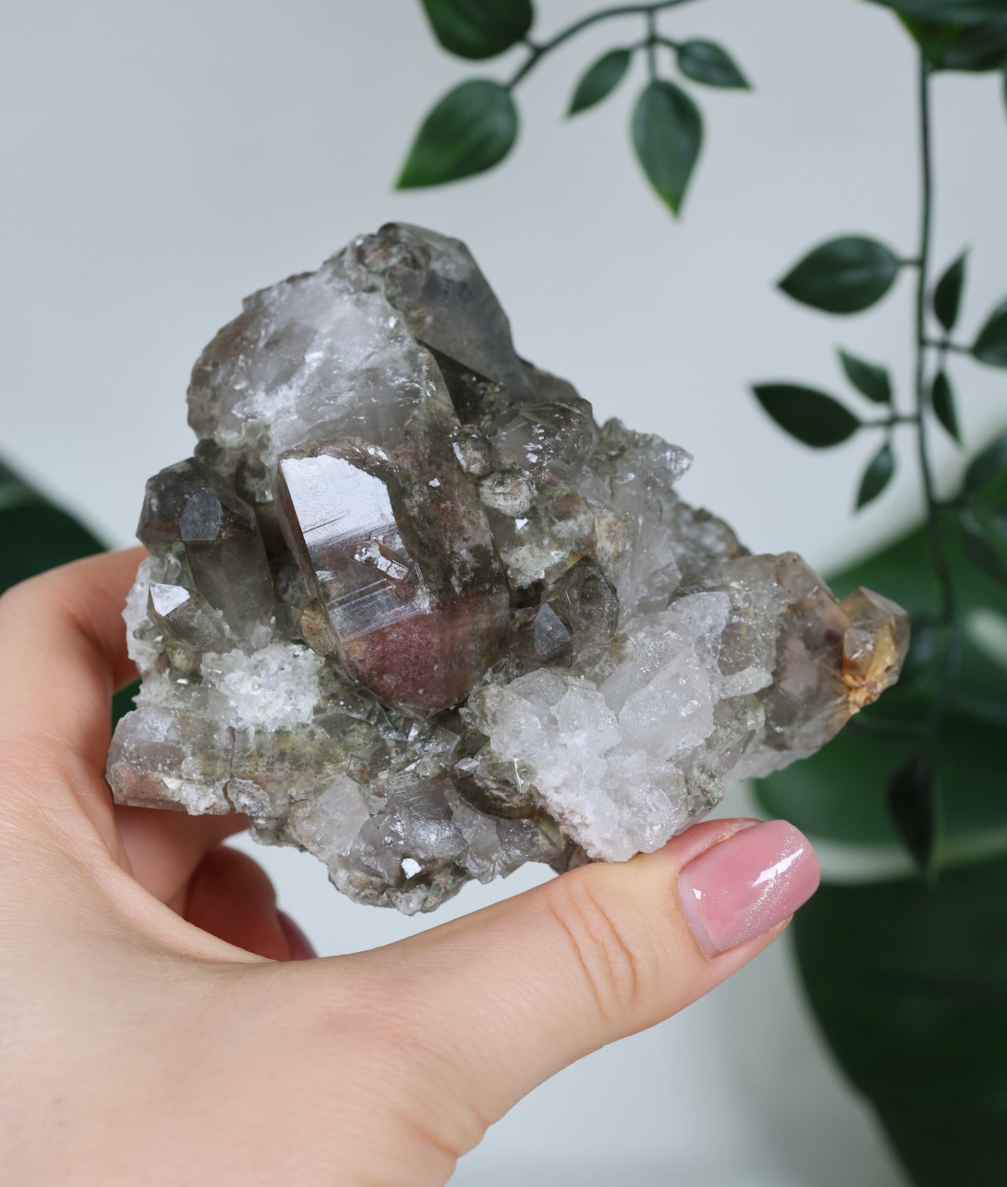 Garden Quartz x Rutile Cluster No. 99GR 