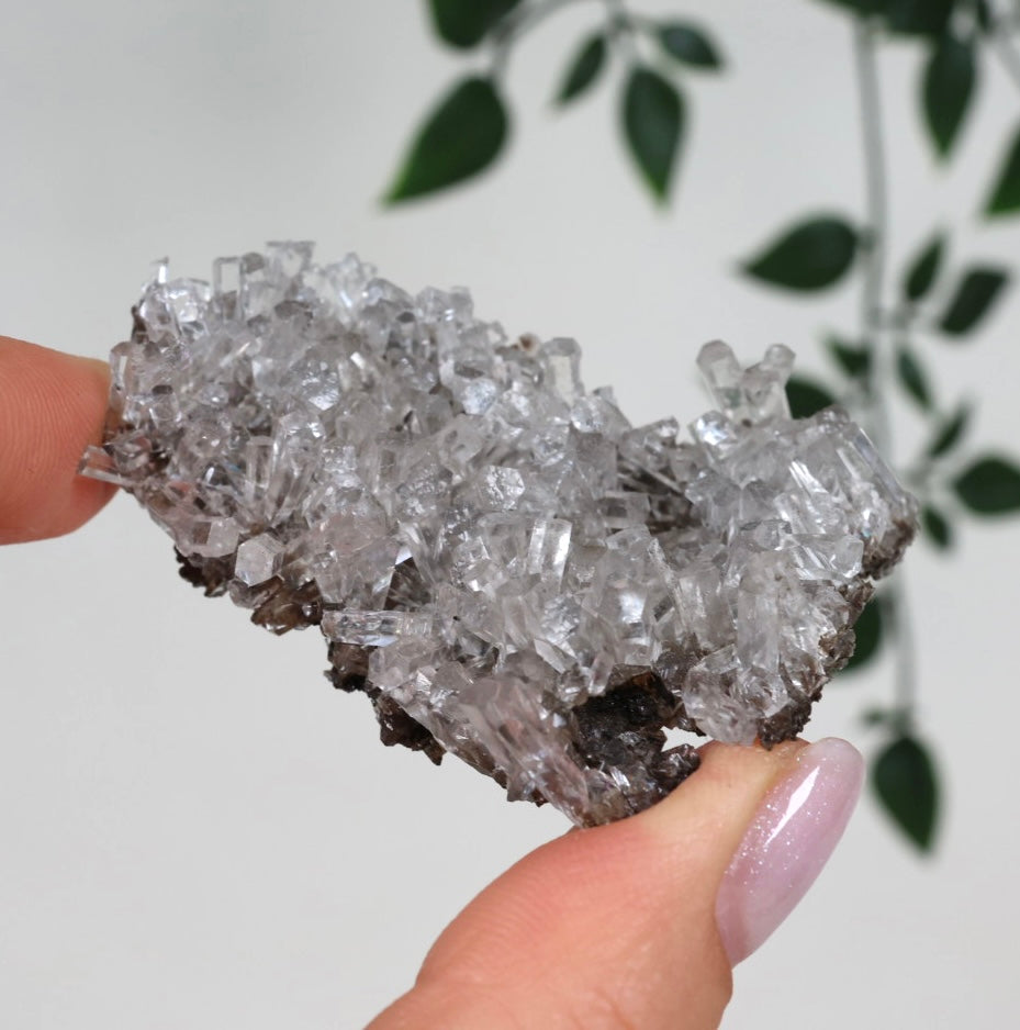 Columnar Calcite No. 66CO 