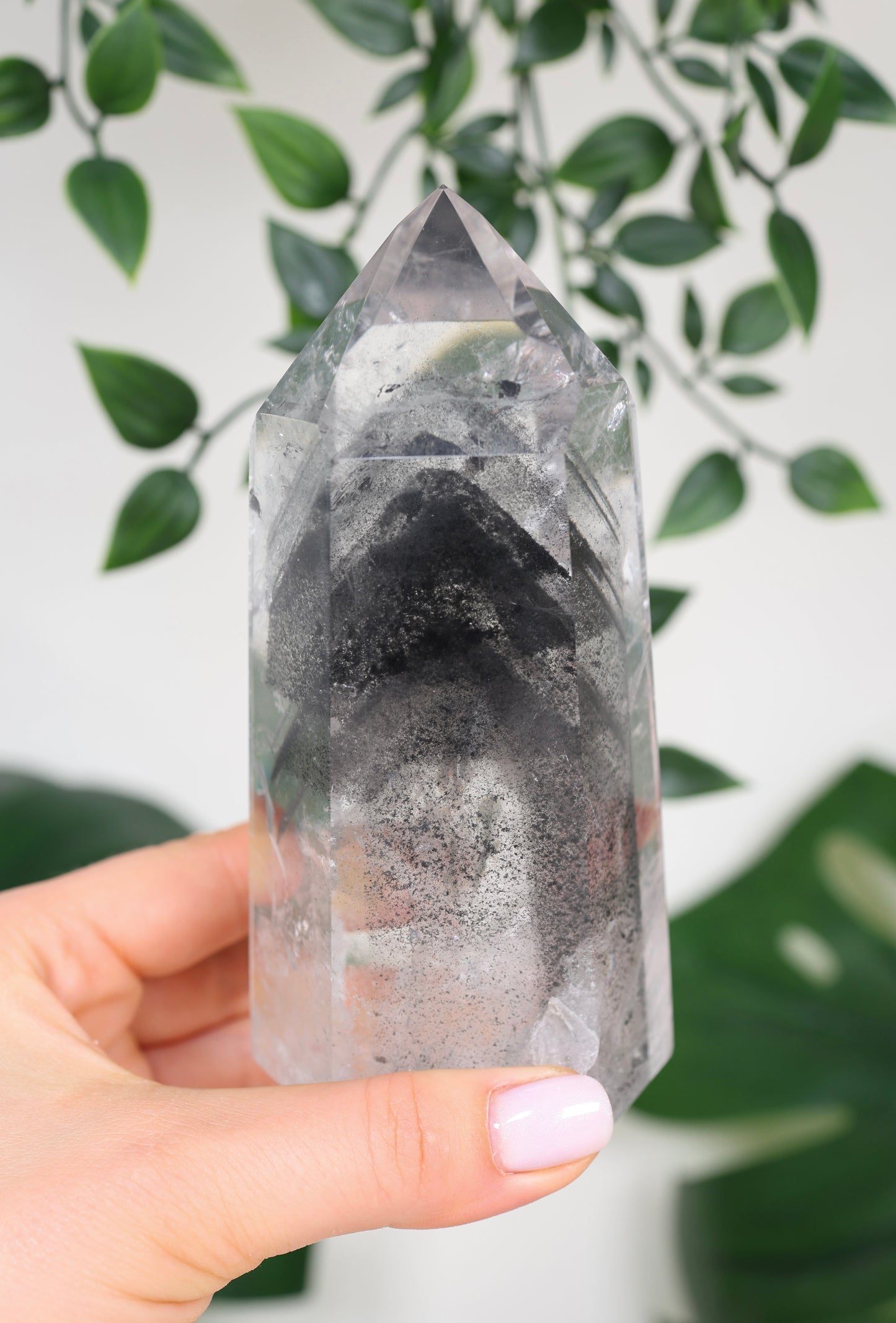 Black Phantom Lemurian Nr.555BL