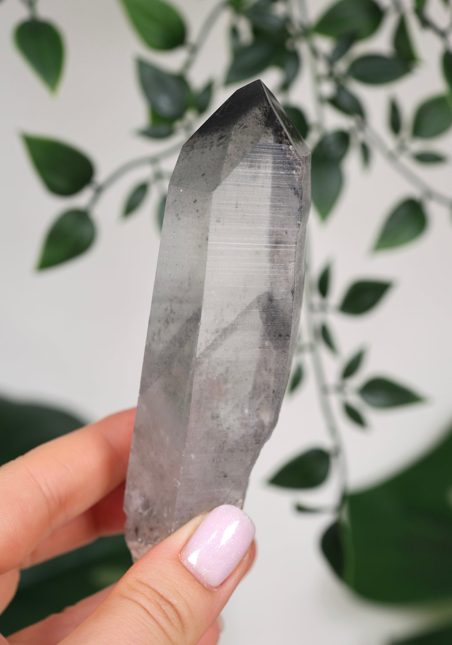 Black Phantom Lemurian Semi-Polished Nr.94BL