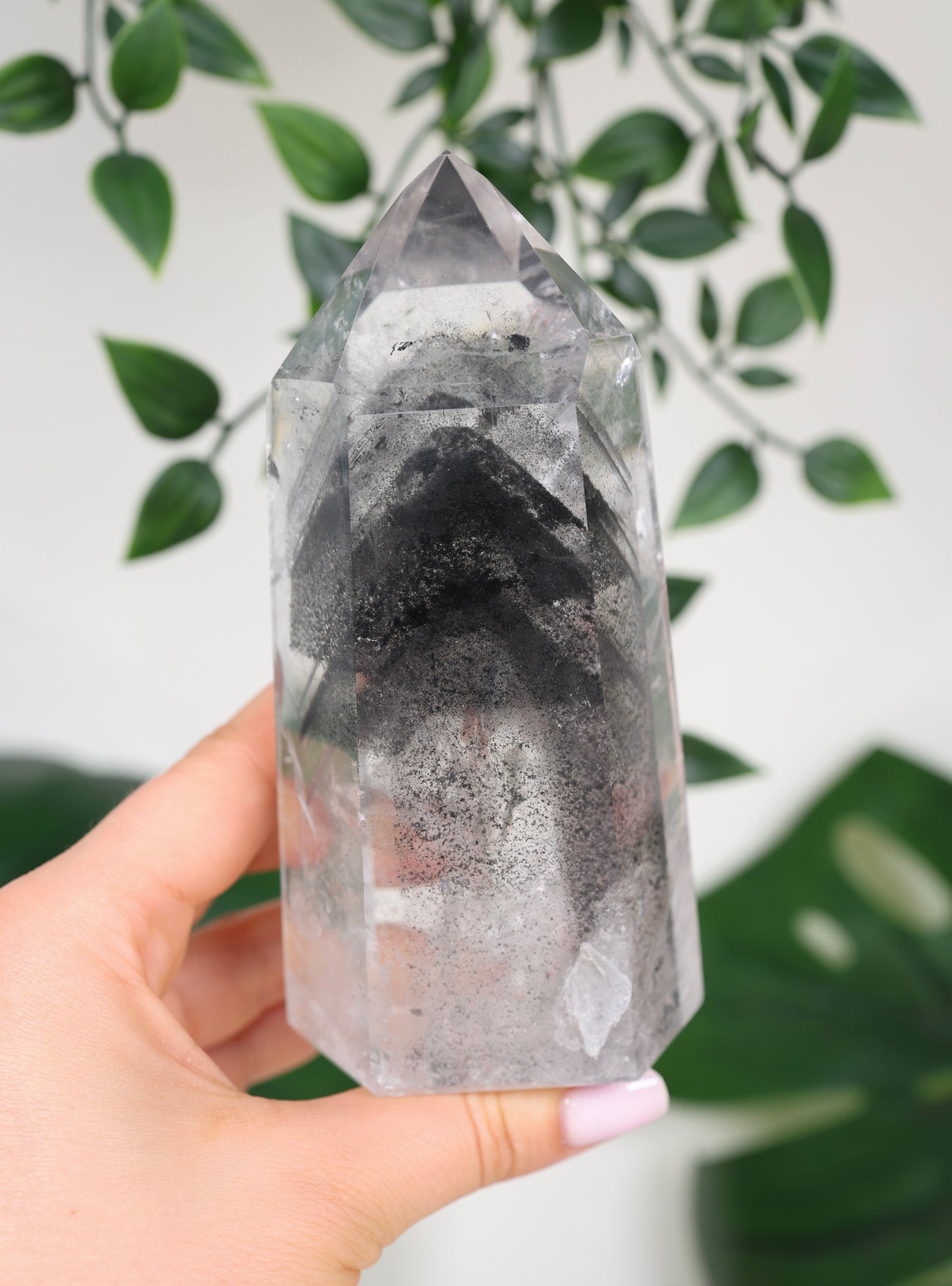 Black Phantom Lemurian Nr.555BL