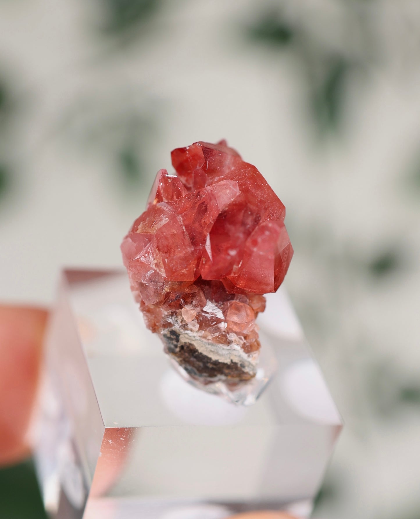 Kristallisierter Rhodochrosit Oldstock Nr.296RH