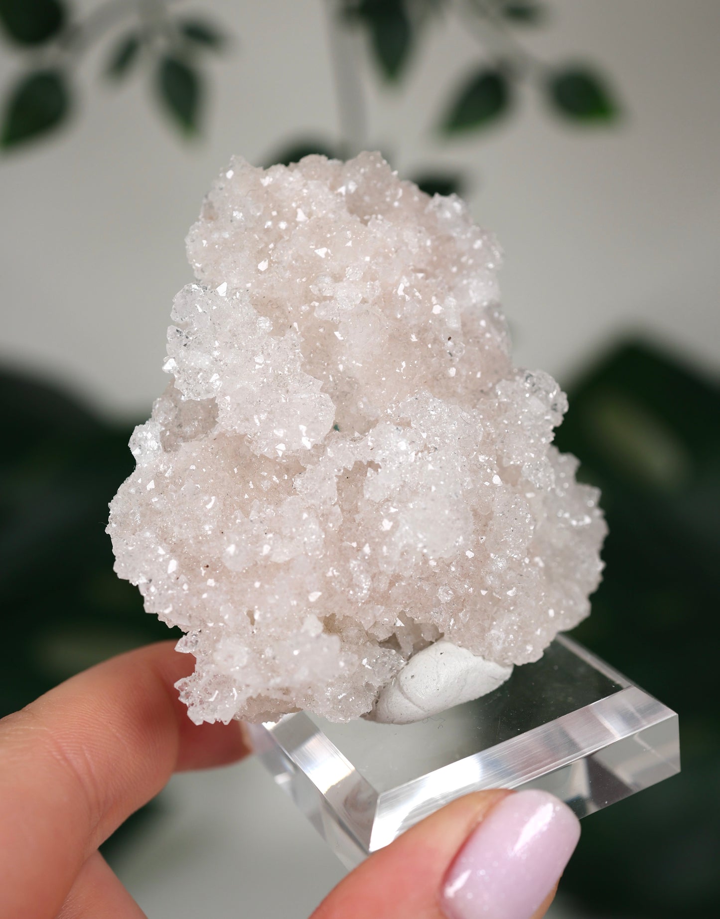 Apophyllit Peach ‚Crust‘ Nr.52AC
