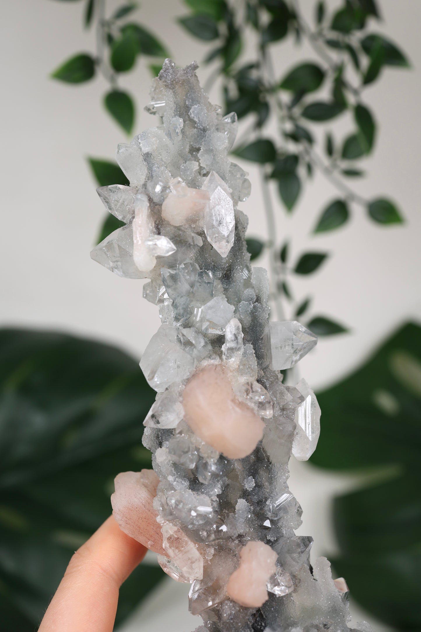 Apophyllit x Chalcedon x Stilbit Stalaktit Nr.229AP