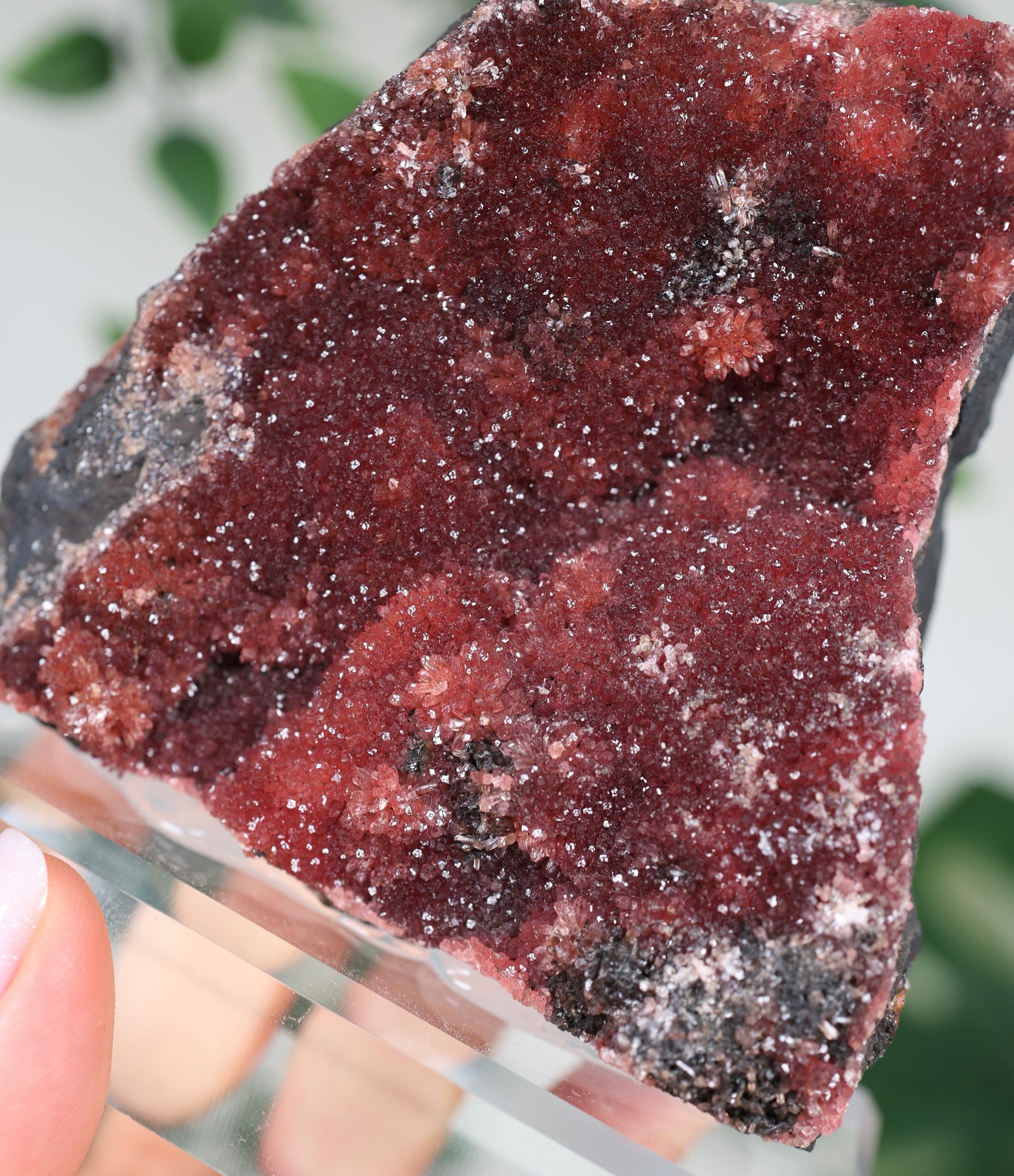 Kristallisierter Rhodochrosit Oldstock Nr.707RH