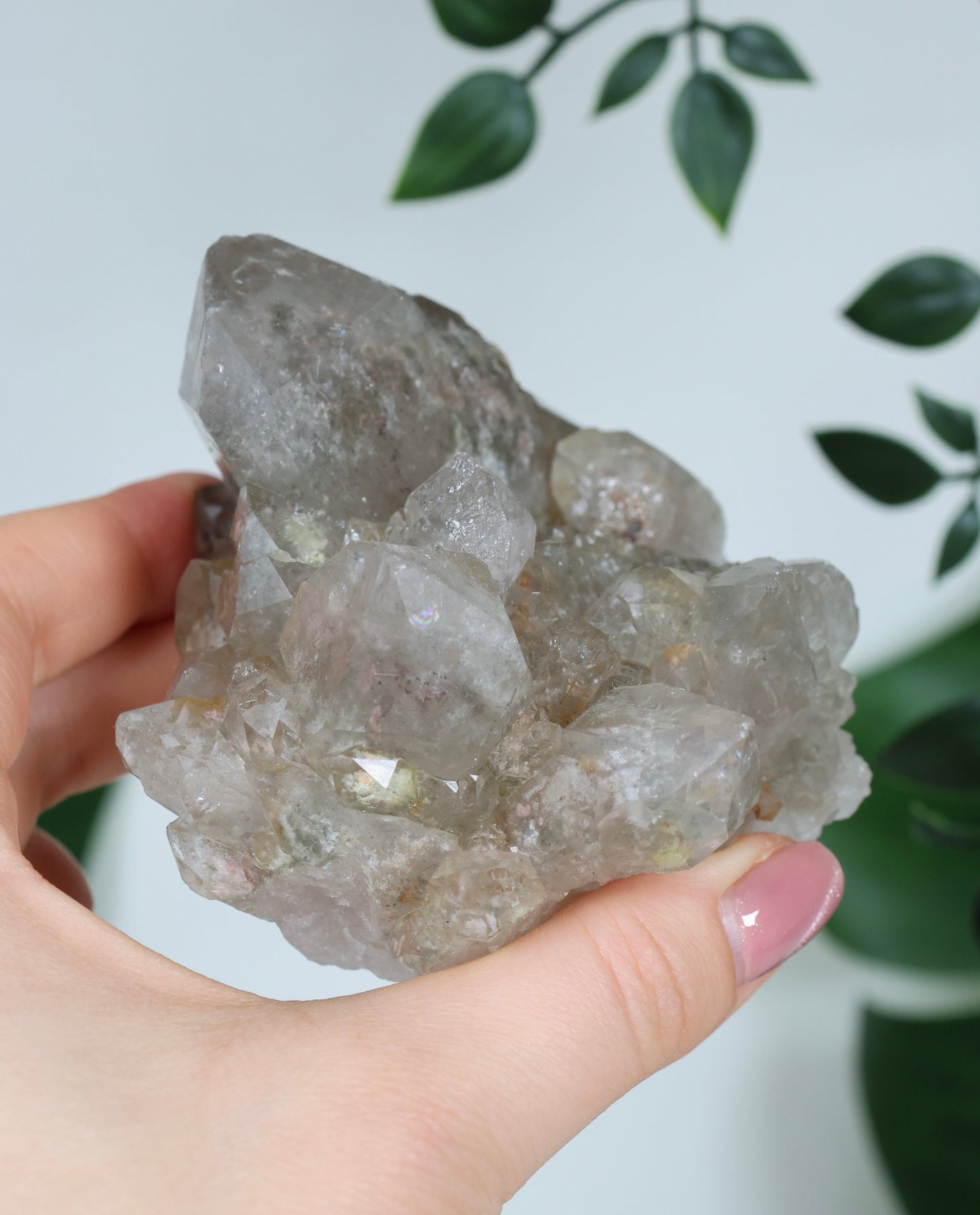 Garden Quartz x Rutile Cluster No. 168GR