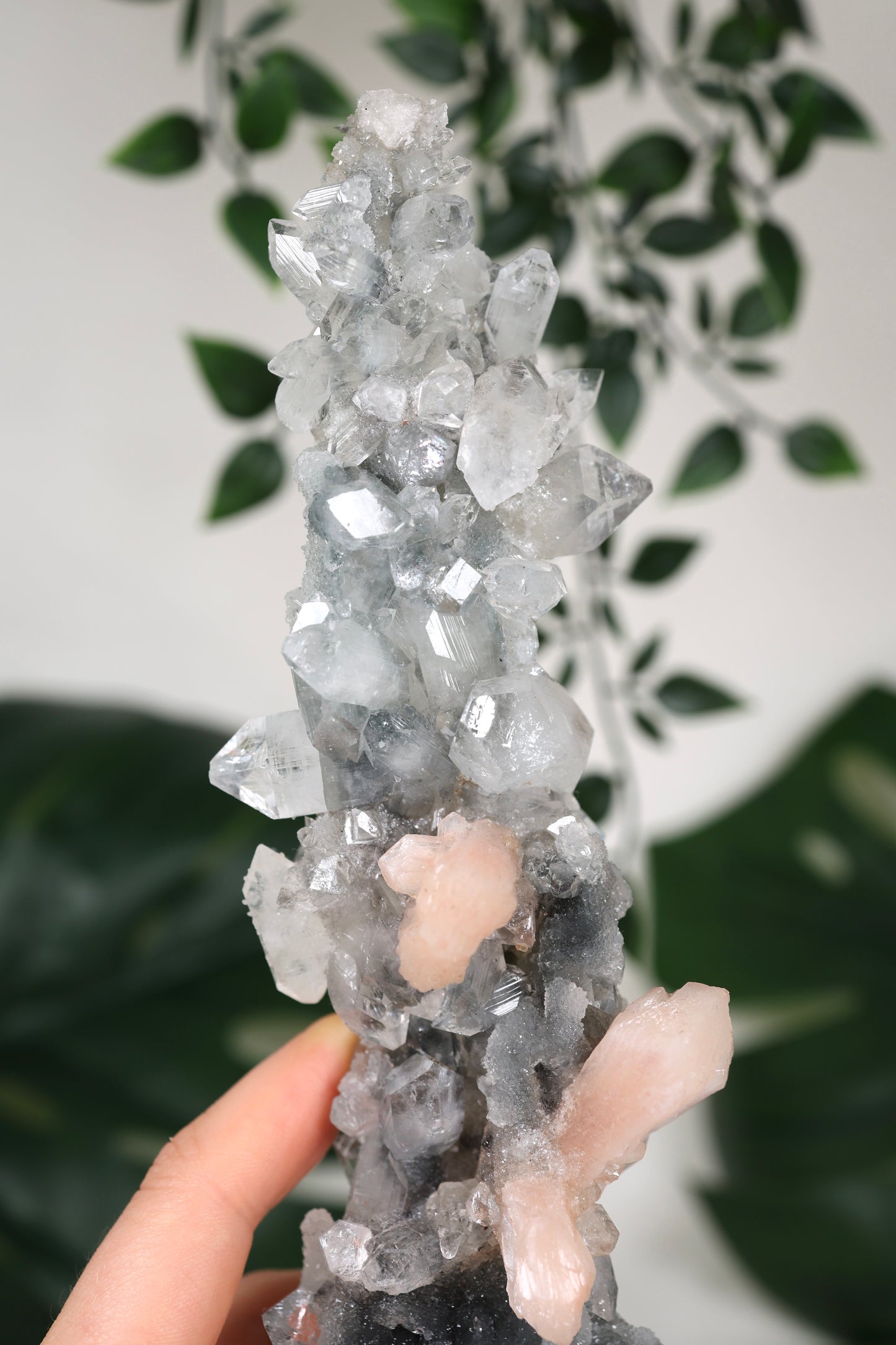 Apophyllit x Chalcedon x Stilbit Stalaktit Nr.229AP