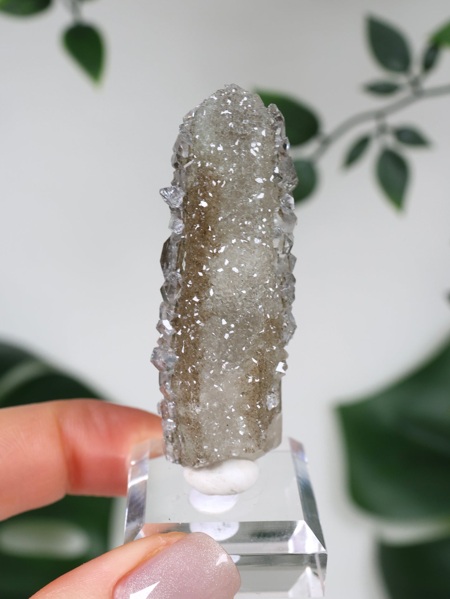 Apophyllite x Quartz x Chlorite No. 111Q3