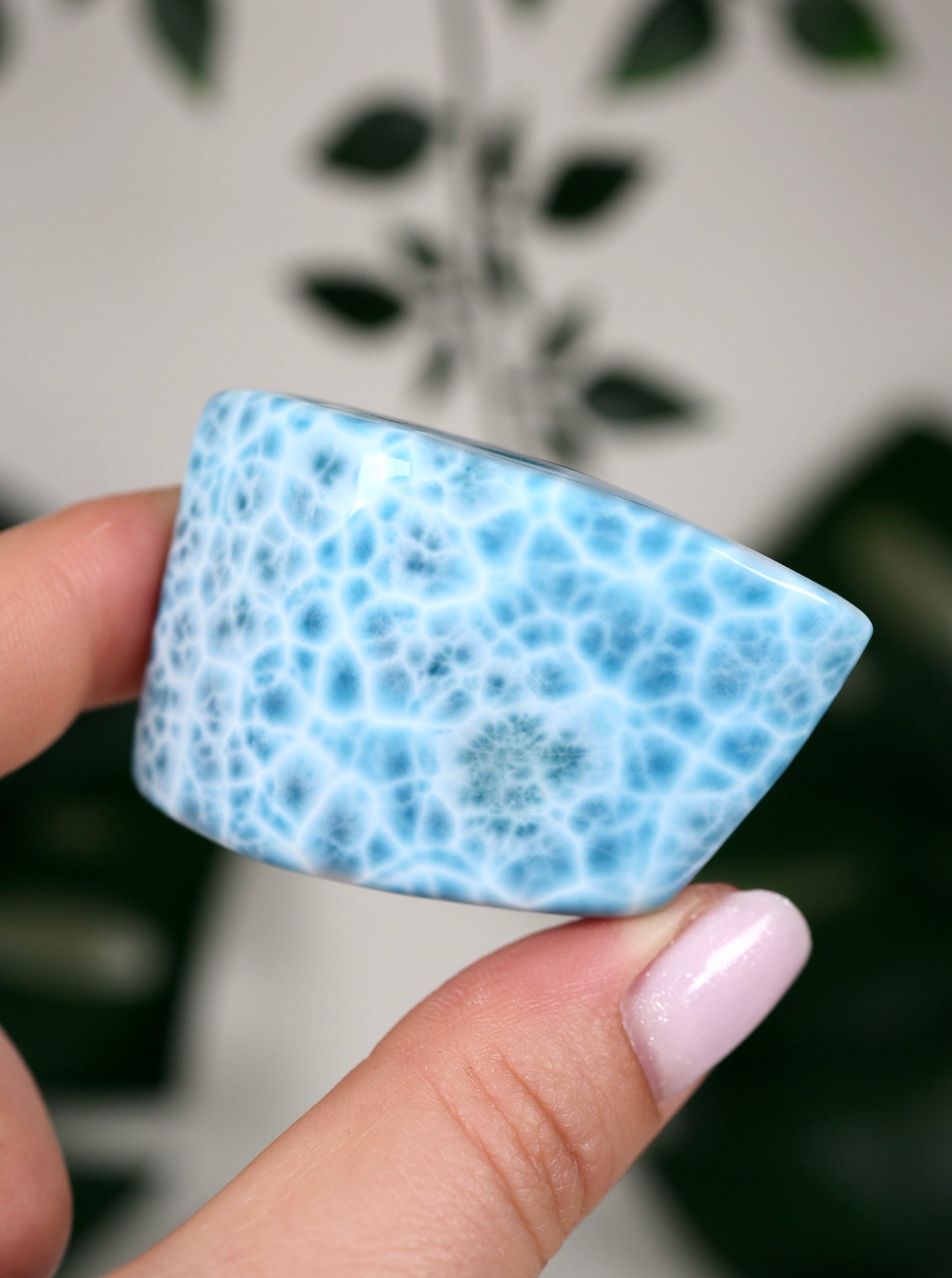 Larimar HQ Nr.700LA