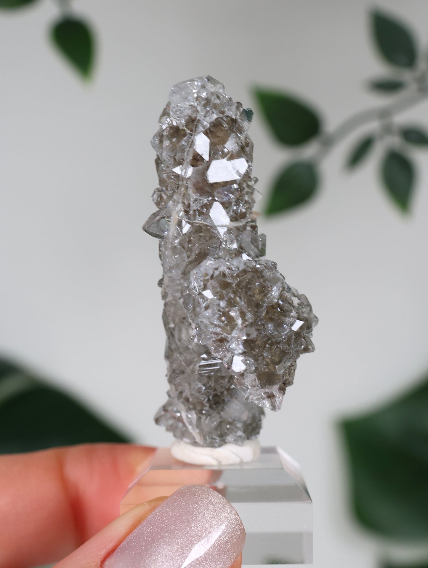 Apophyllite x Quartz x Chlorite No.66Q1