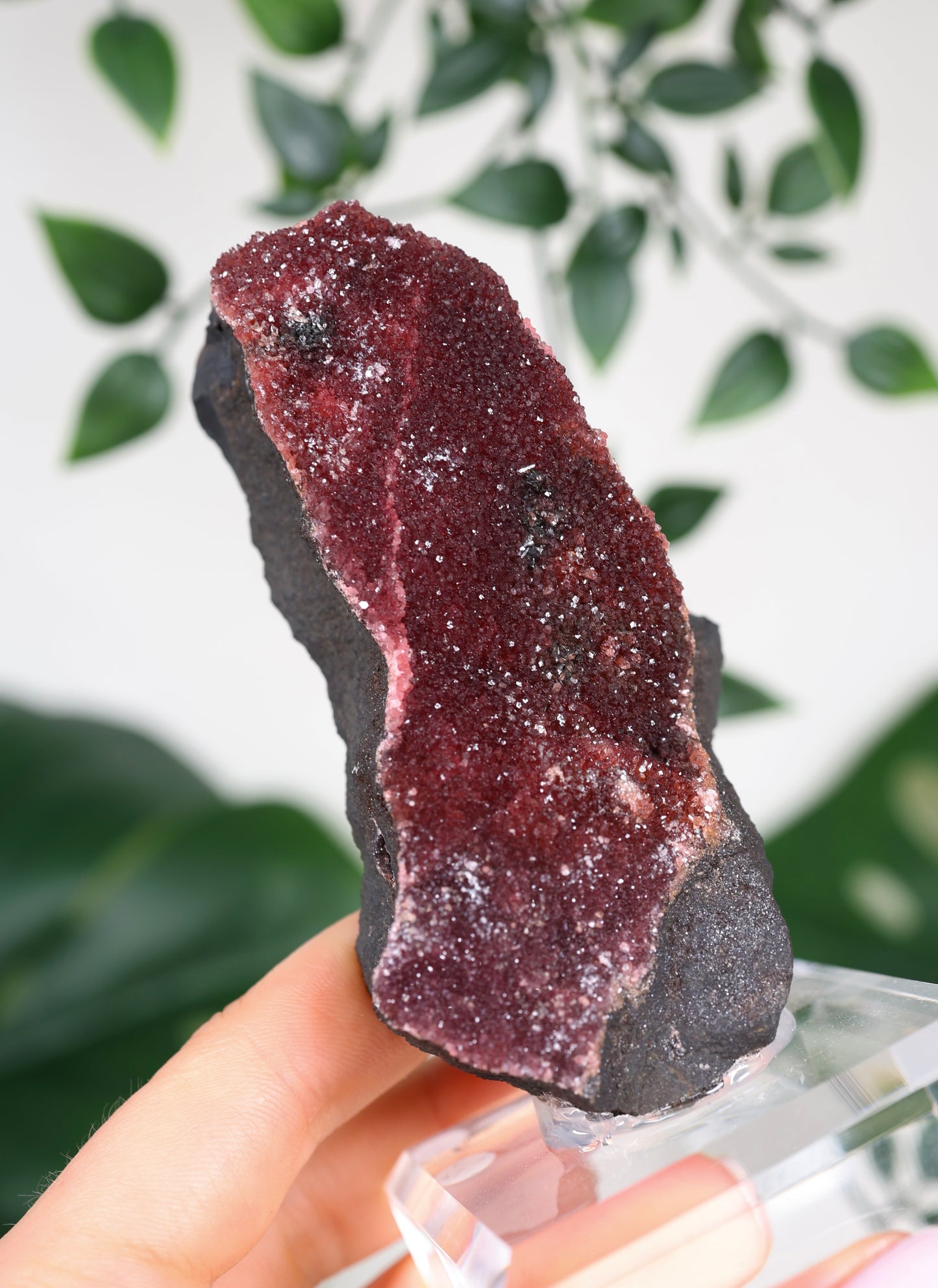 Kristallisierter Rhodochrosit Oldstock Nr.434RH