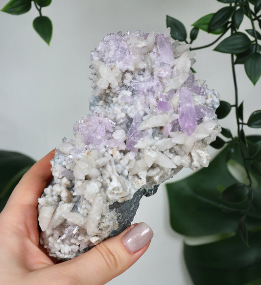 Calcite x Vera Cruz Amethyst No. 595VC