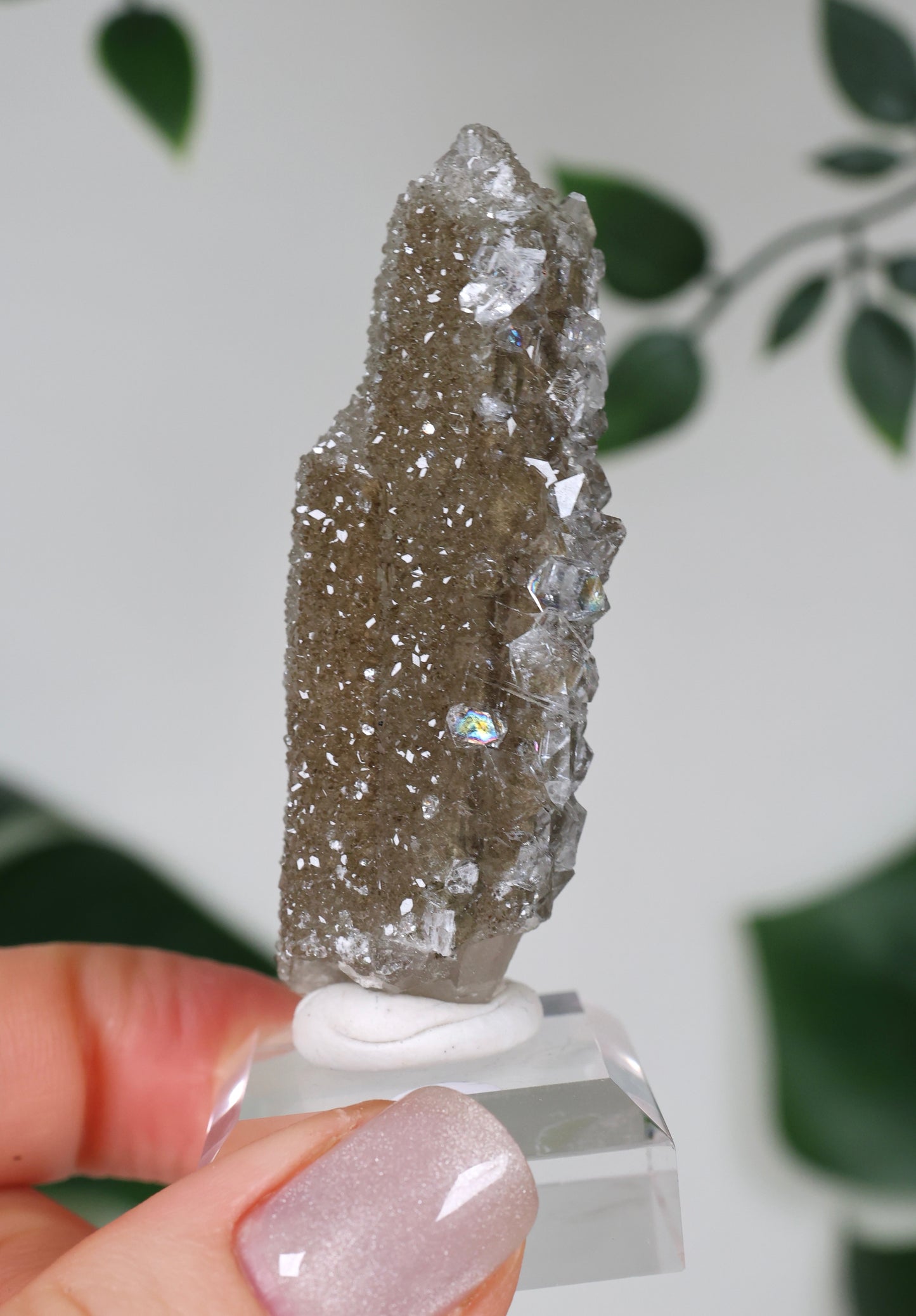 Apophyllite x Quartz x Chlorite No. 108Q1