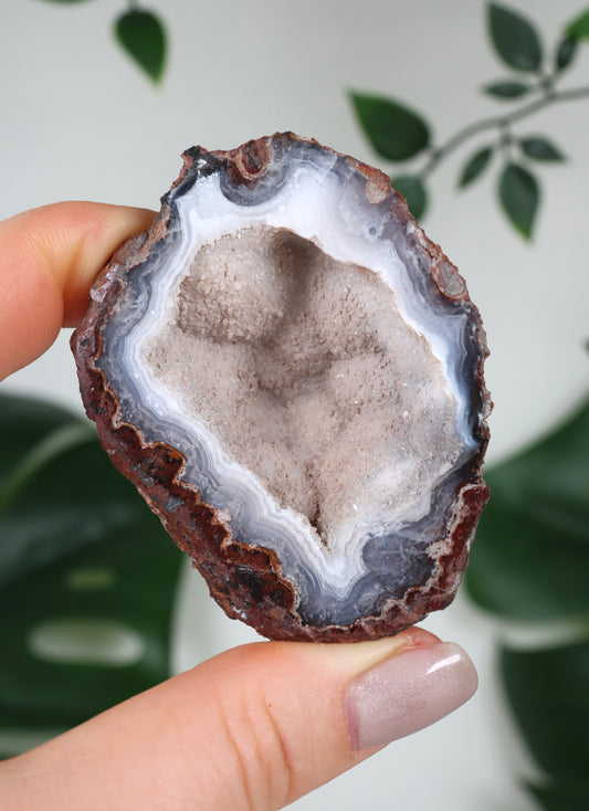 Laguna Agate Geode No. 70LA