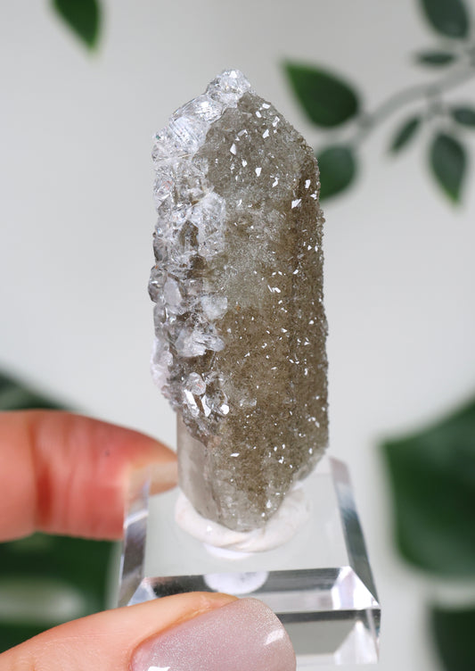 Apophyllite x Quartz x Chlorite No. 104QA