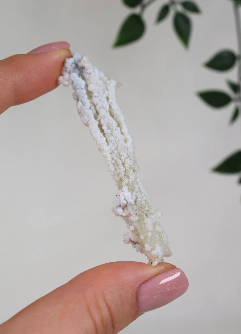 Calcedonia azul coral - Selección