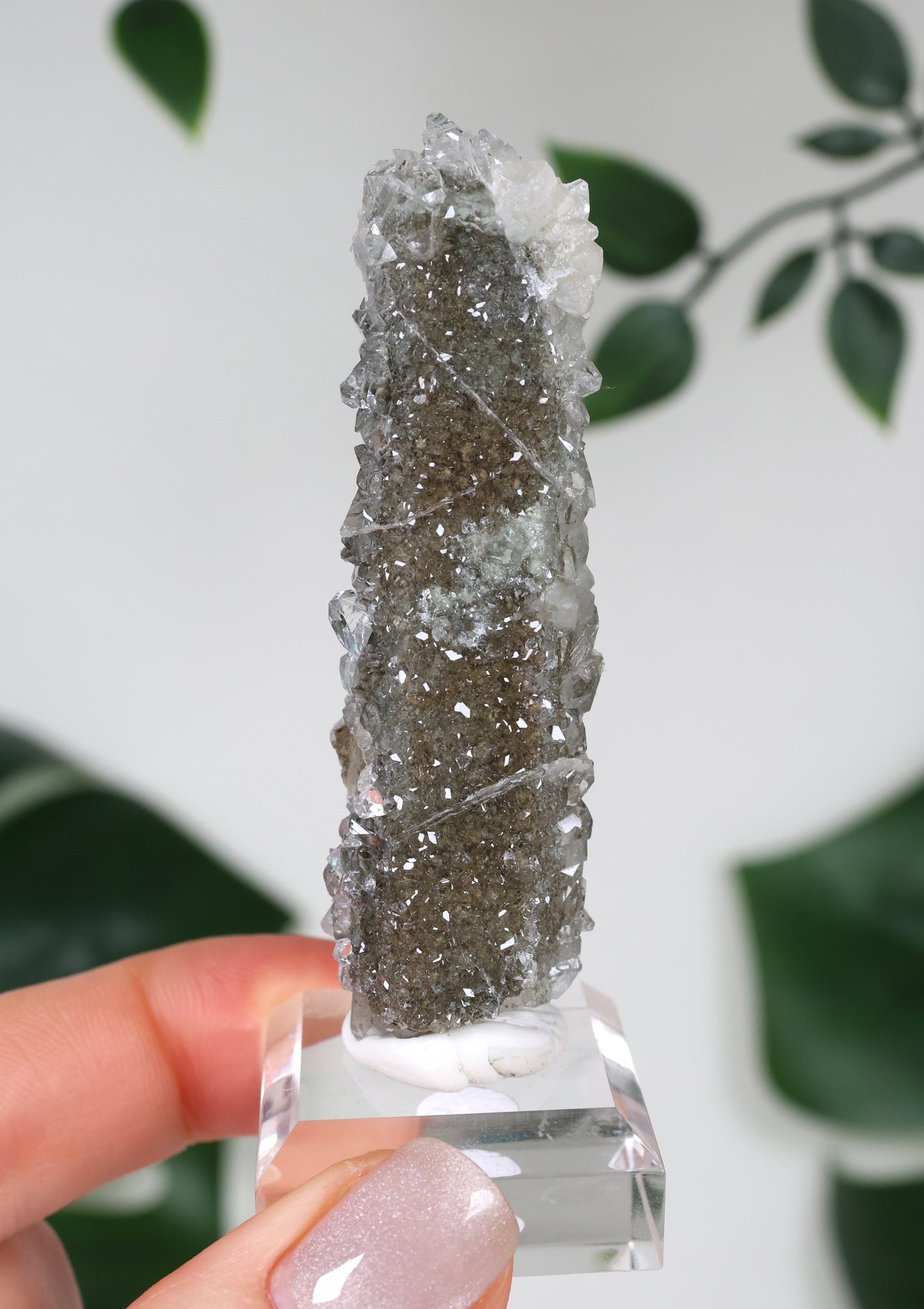 Apophyllite x Quartz x Chlorite No.110QA