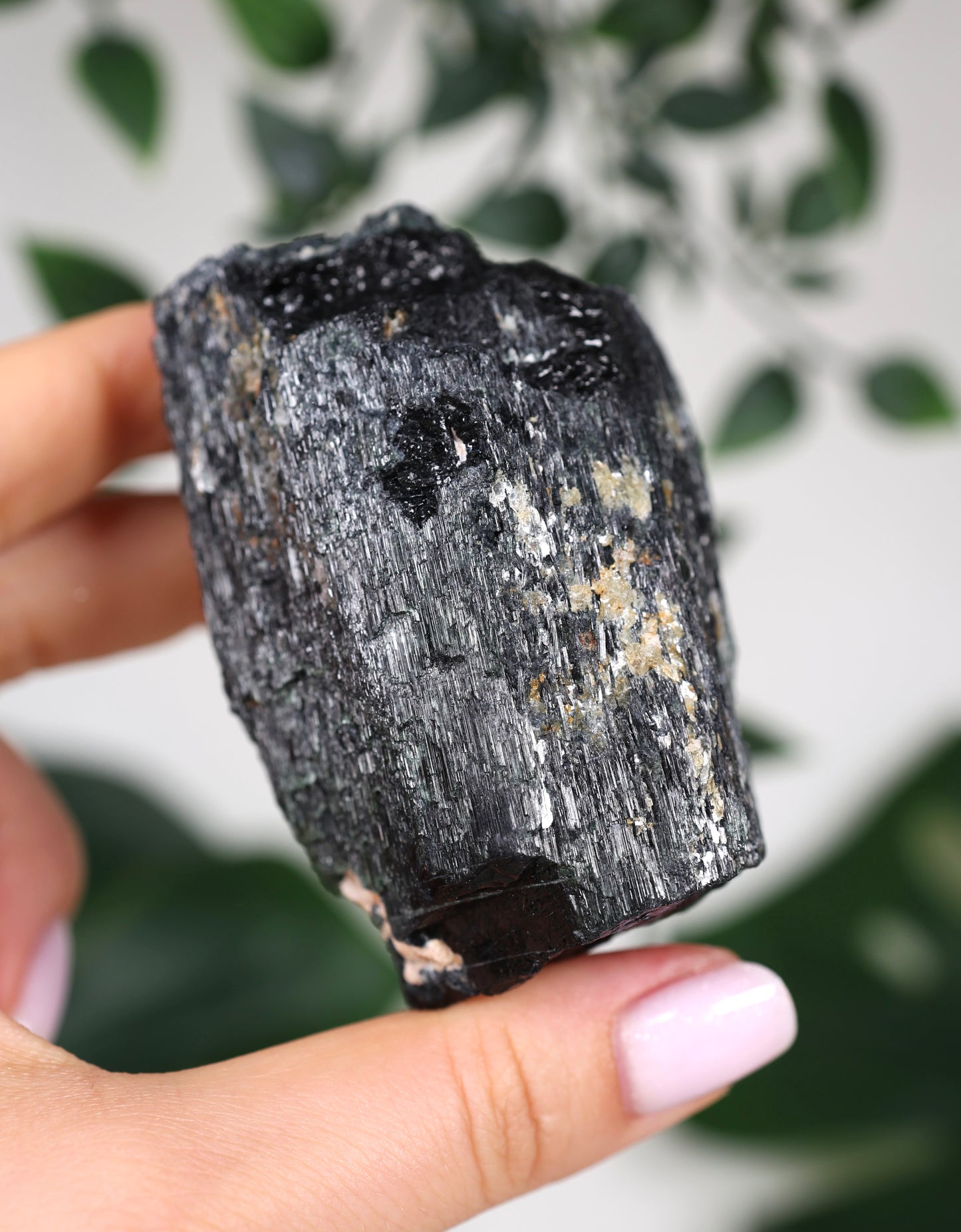 Cat Eye Turmalin Nr.82CT