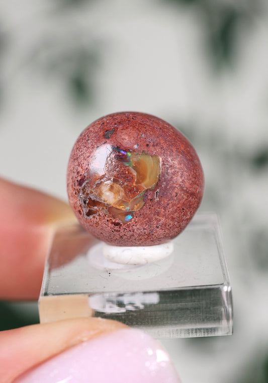 Cantera Opal Cabochon Nr.19CO