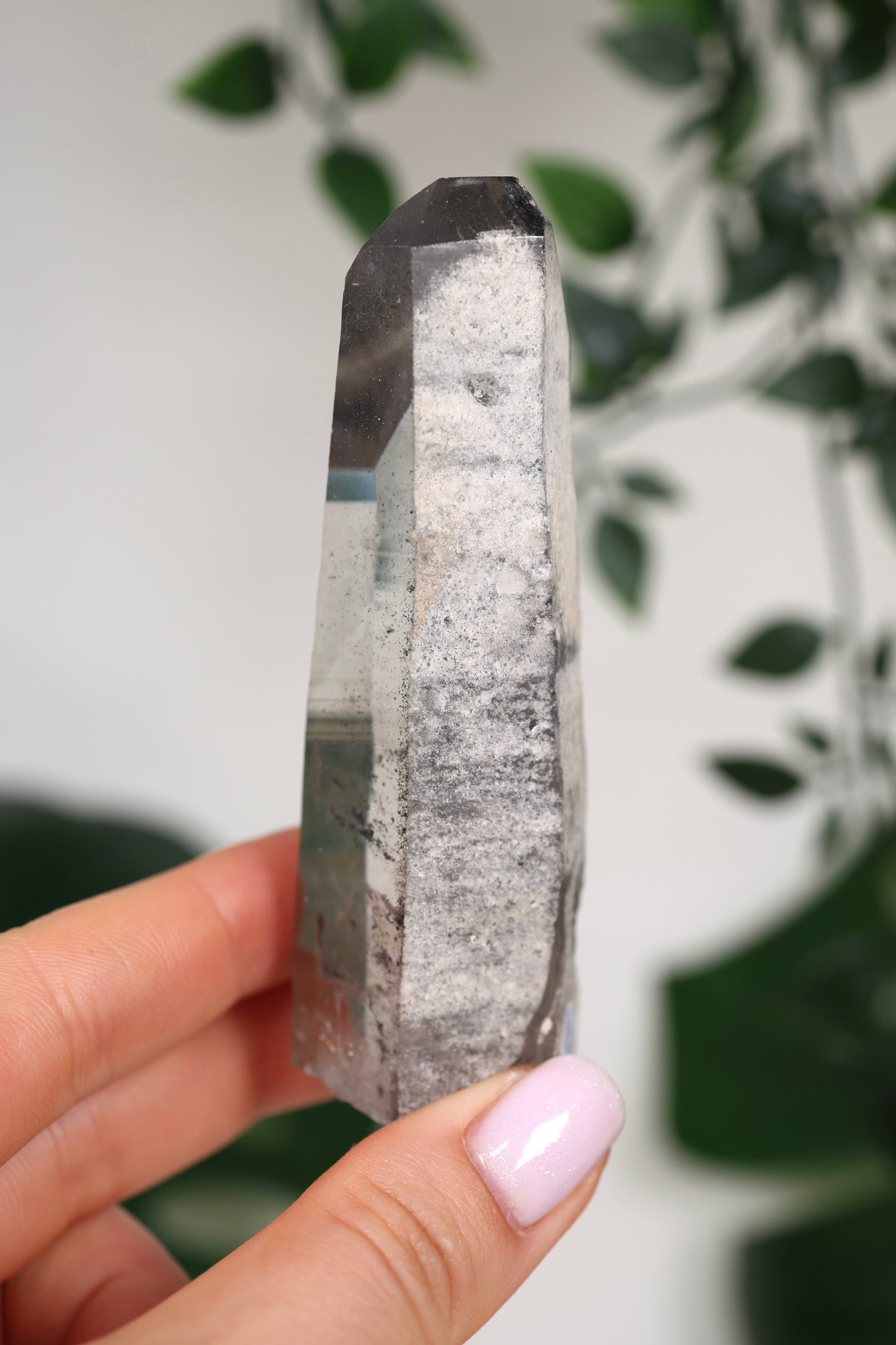 Black Phantom Lemurian Semi-Polished Nr.82BL
