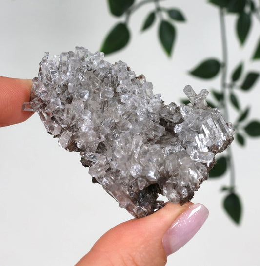 Columnar Calcite No. 66CO 