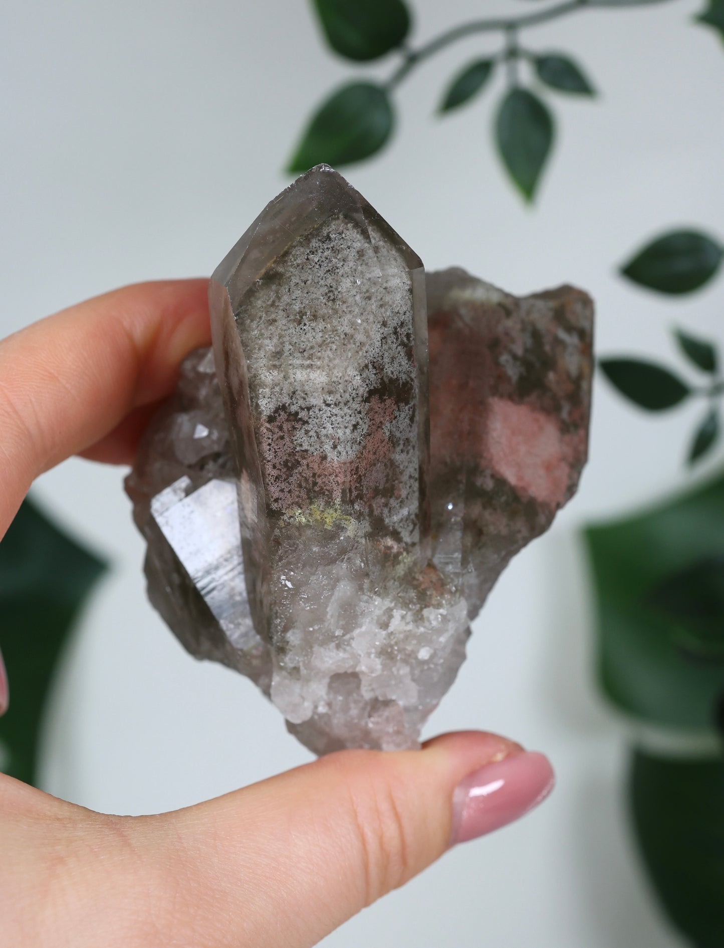 Garden Quartz x Rutile Cluster No.116GR