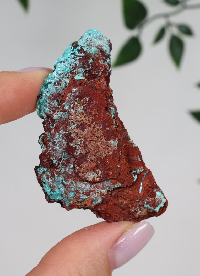 Aurichalcite No. 37AU 